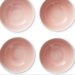 NEW William Sonoma Cyprus Reactive Glaze Salad Plates